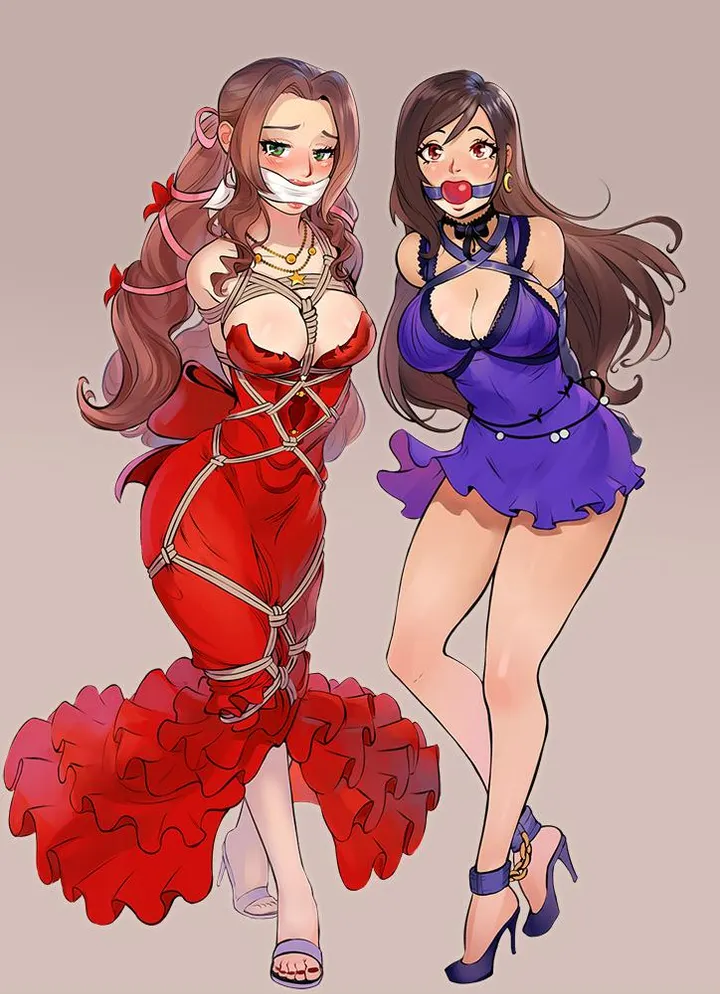 百合姐妹的捆绑日常封面